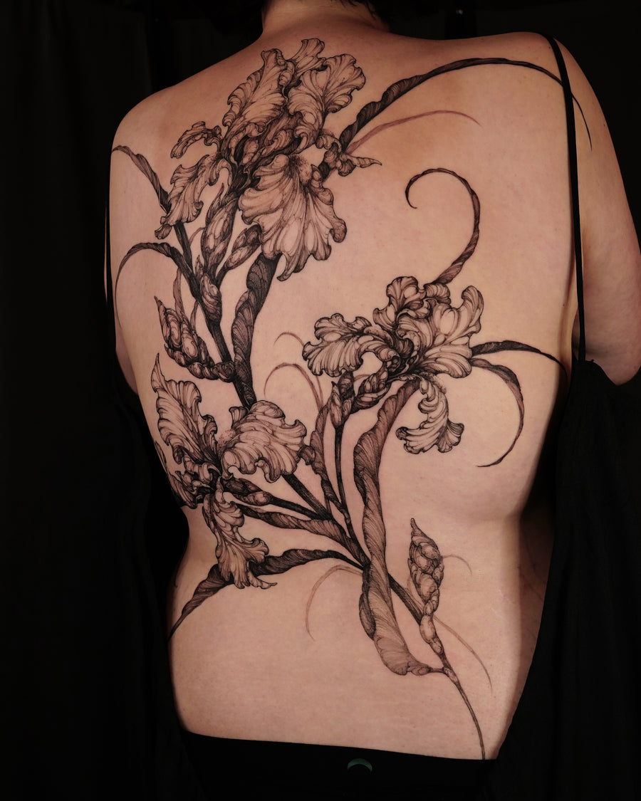 Adam, Botanical - Illustrative Blackwork tattoo artist at Hanok Studio