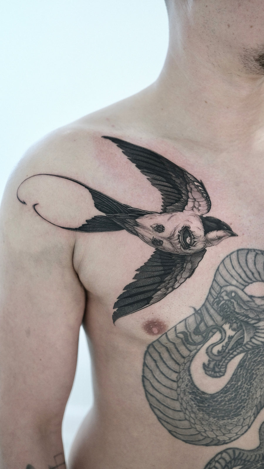 Marvin — guest resident tattoo